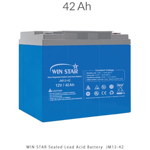 باتری 42 آمپر ساعت Sealed Lead Acid برند WIN STAR