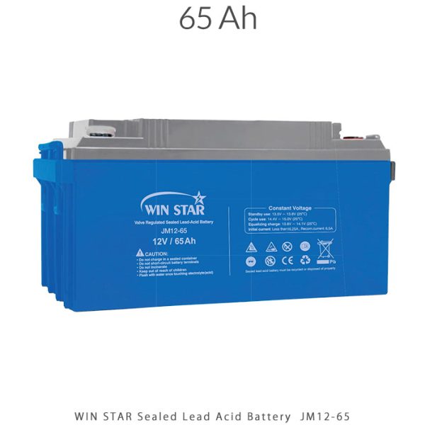 باتری 65 آمپر ساعت Sealed Lead Acid برند WIN STAR